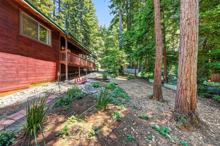 Mountain living without the steep mountain roads! Located on - photo 16