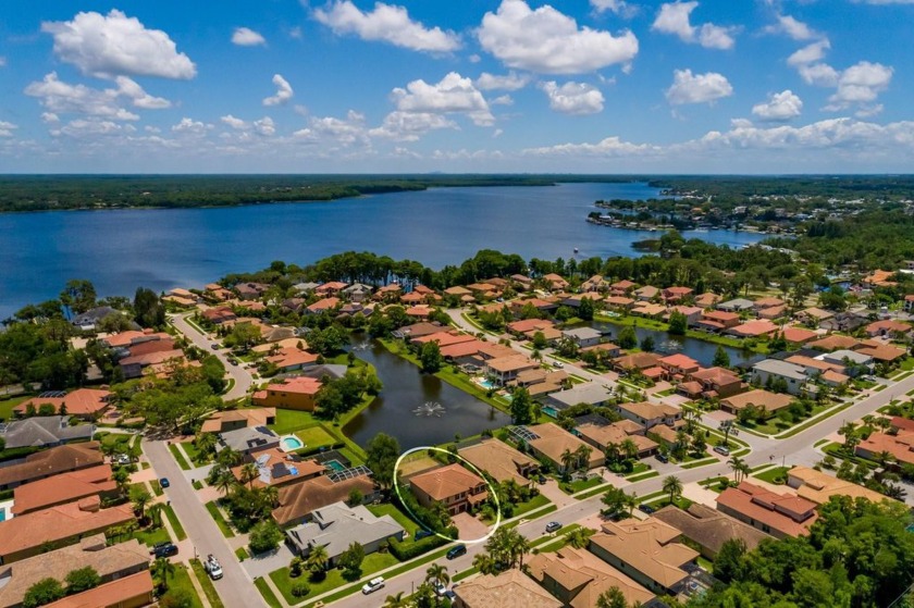 GORGEOUS in GRAND CYPRESS on LAKE TARPON ~ Location, Location - photo 3