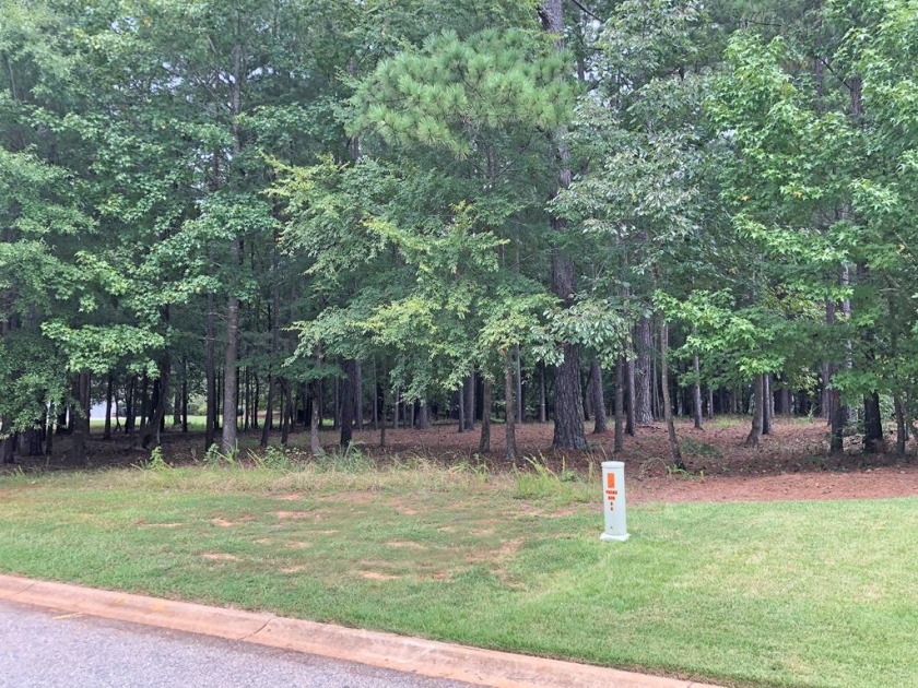 Firesale Price for a Larger Lot! SOLD - photo 4