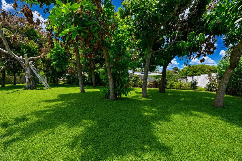 This CBS stucco 3 bedroom, 1.5 bath home offering 1,434 Sq. ft - photo 25