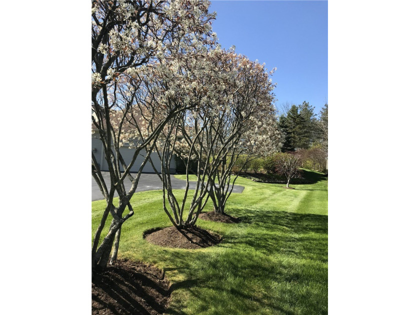 Gorgeous contemporary home in one of Mendon's most sought after - photo 45