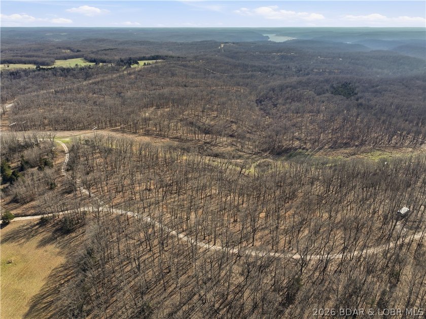 This 70-acre property is ideal for constructing a custom - photo 6
