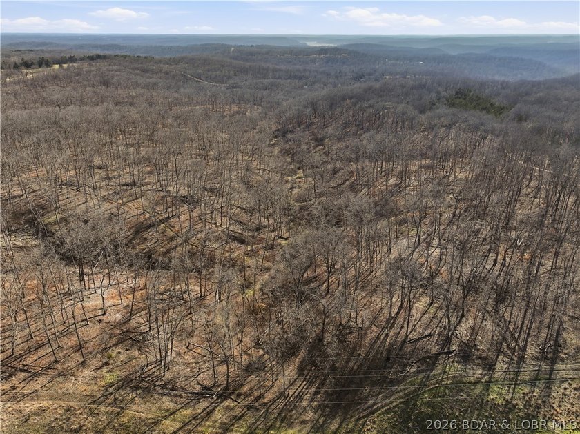 This 70-acre property is ideal for constructing a custom - photo 7