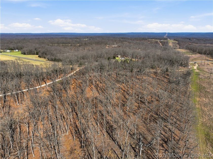 This 70-acre property is ideal for constructing a custom - photo 8