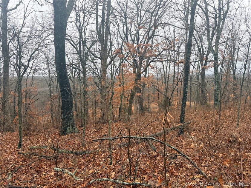 This 70-acre property is ideal for constructing a custom - photo 9