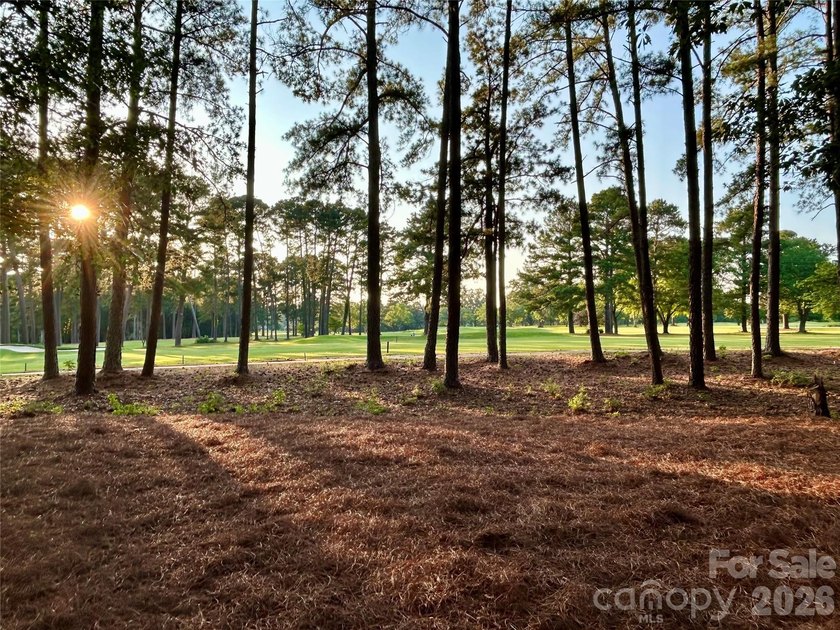 This quality constructed brick custom home boarders Piney Point - photo 12