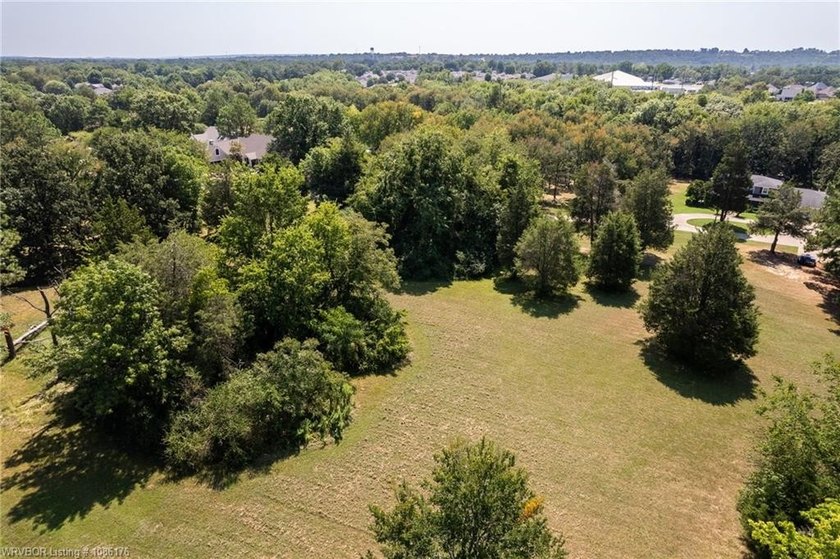 Breathtaking Views of the Arkansas River! All this lot needs is - photo 3