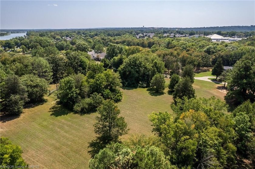 Breathtaking Views of the Arkansas River! All this lot needs is - photo 7