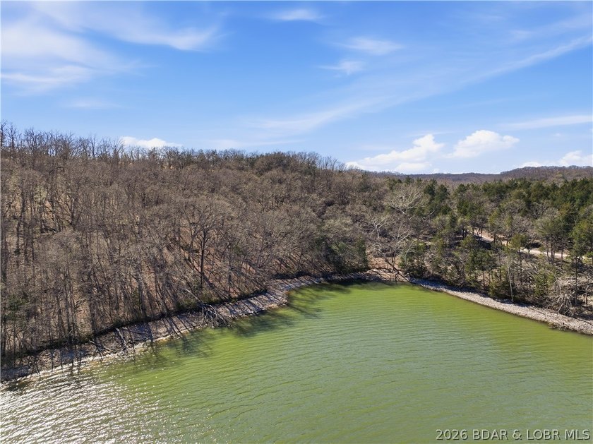 An exceptional opportunity to own 4.4 acres of serene waterfront - photo 5