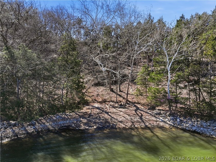 An exceptional opportunity to own 4.4 acres of serene waterfront - photo 6