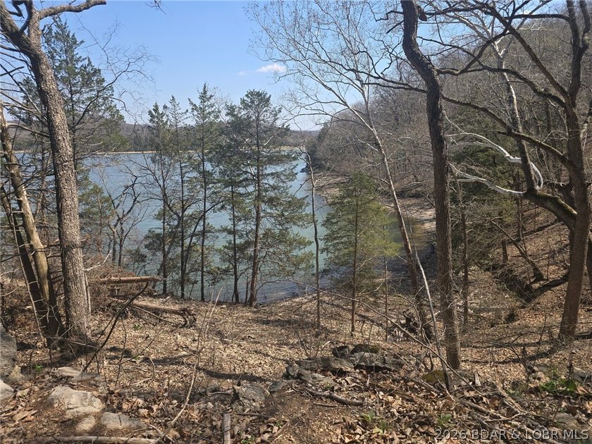 An exceptional opportunity to own 4.4 acres of serene waterfront - photo 7