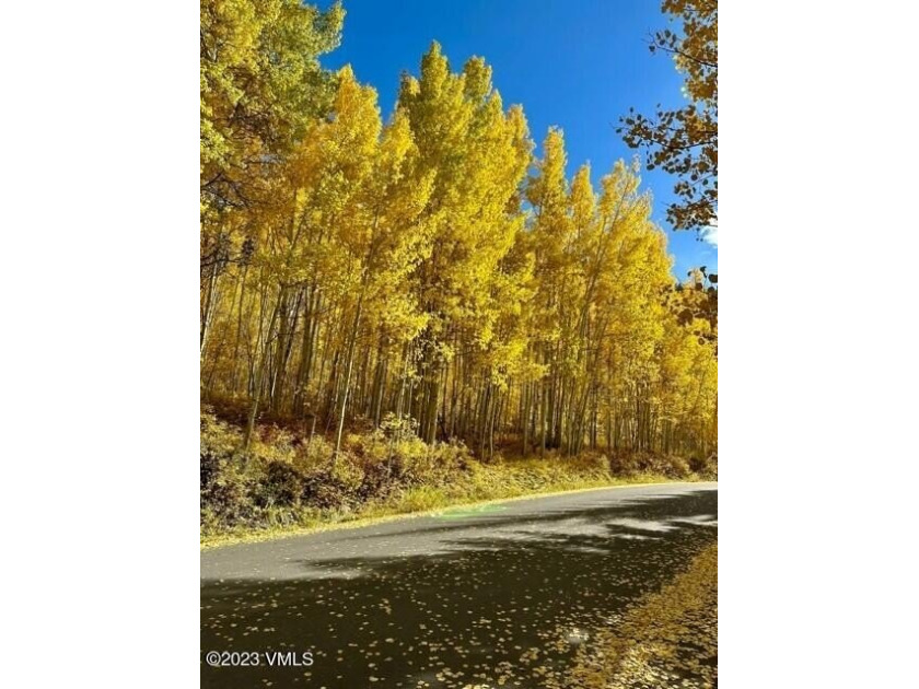 Compelling value in an exclusive, private section of the Vail - photo 32