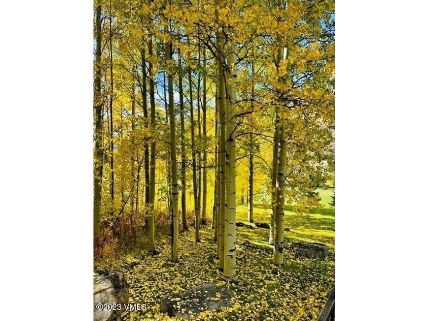 Compelling value in an exclusive, private section of the Vail - photo 33