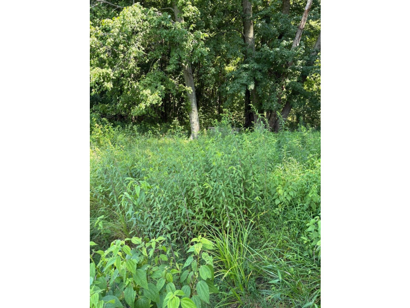 3.85 acres of developed land being sold for land value only! - photo 7