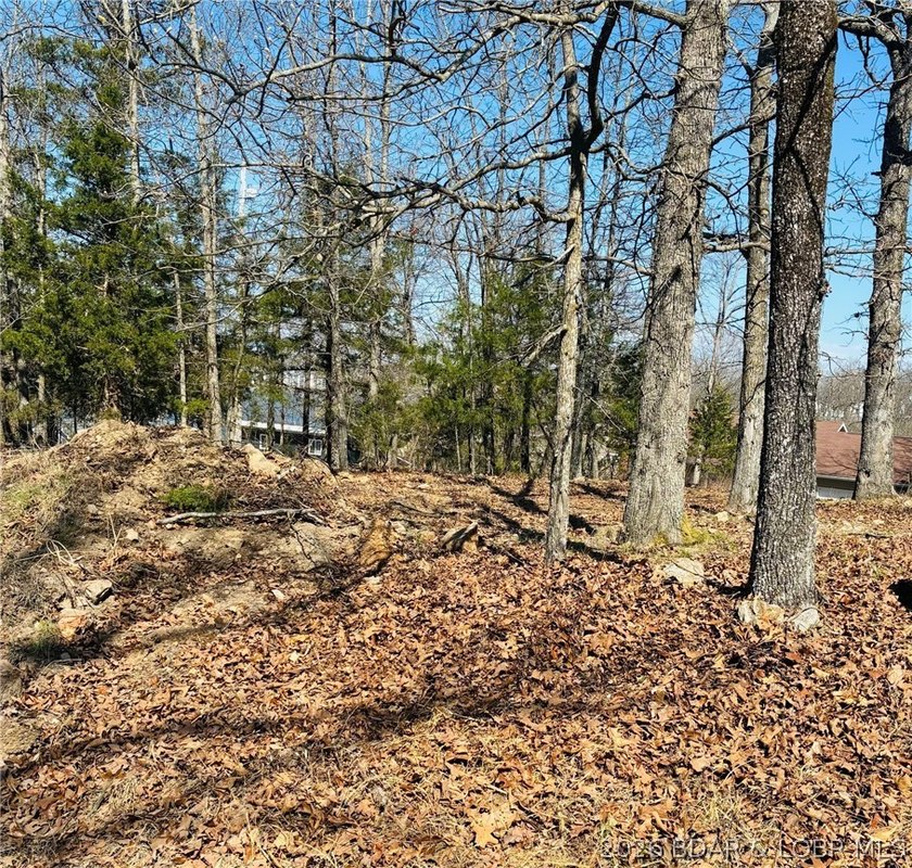 Discover the perfect spot to build your Lake of the Ozarks dream - photo 6