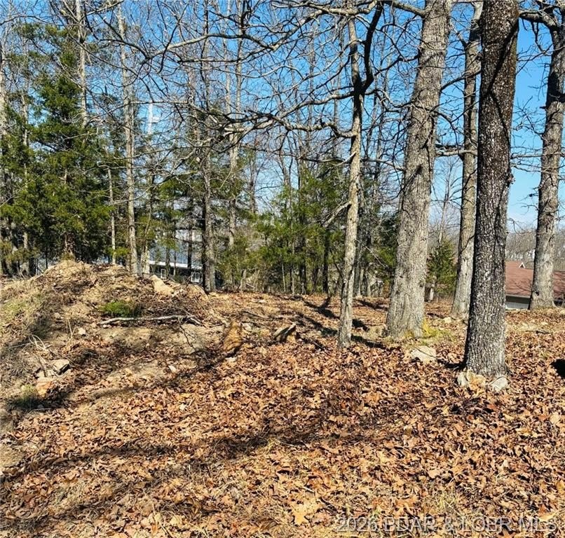 Discover the perfect spot to build your Lake of the Ozarks dream - photo 6