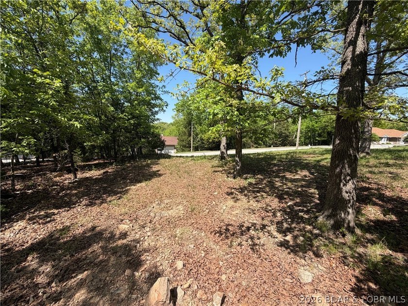 Discover the perfect spot to build your Lake of the Ozarks dream - photo 8