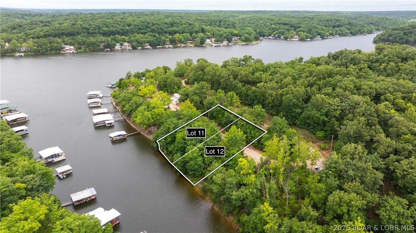 Are you looking for a lakefront lot that has it all? Well, look - photo 4