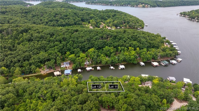 Are you looking for a lakefront lot that has it all? Well, look - photo 7