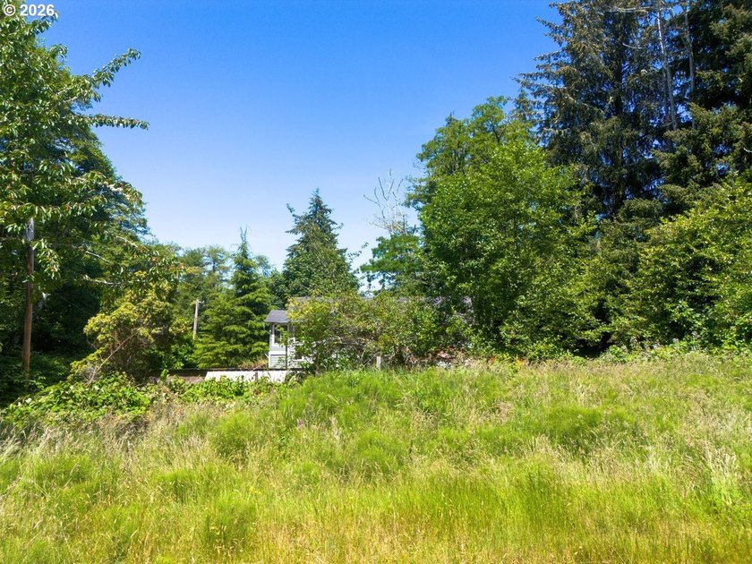 Level, buildable 0.11-acre lot just minutes from historic - photo 9