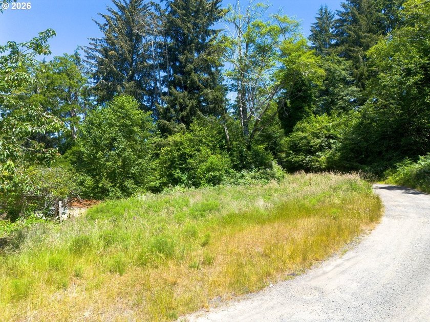 Level, buildable 0.11-acre lot just minutes from historic - photo 10