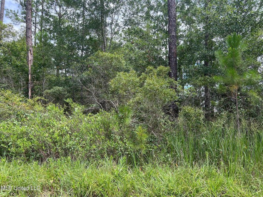 Great 3 acre parcel in a rural area of Hancock County near - photo 2