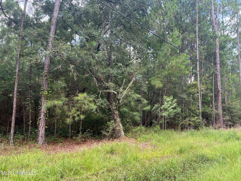 Great 1.5 Acre parcel to build your dream home in beautiful - photo 2