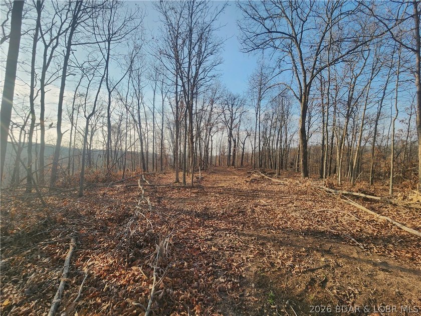 This scenic property features high ridges with incredible views - photo 4