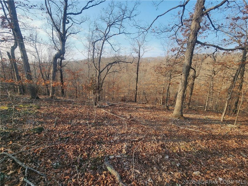 This scenic property features high ridges with incredible views - photo 5