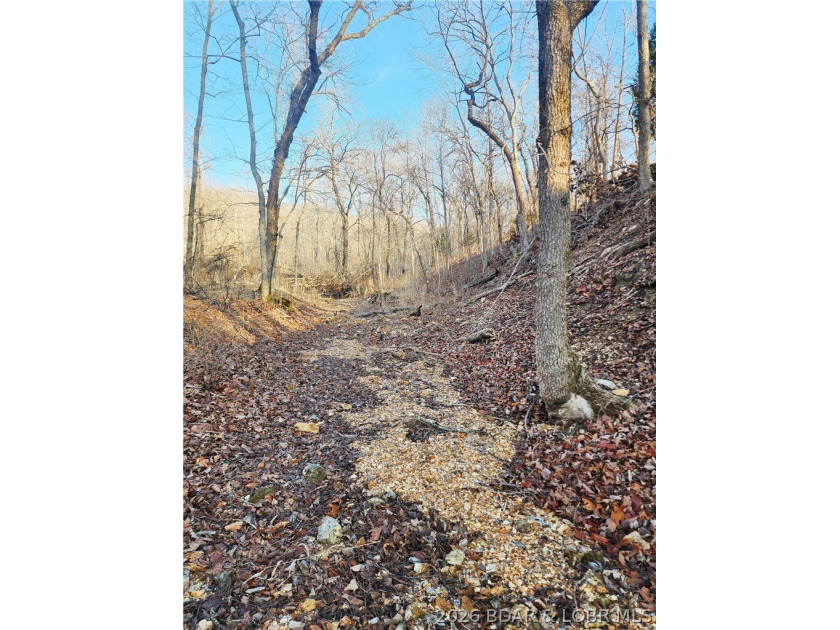 This scenic property features high ridges with incredible views - photo 2