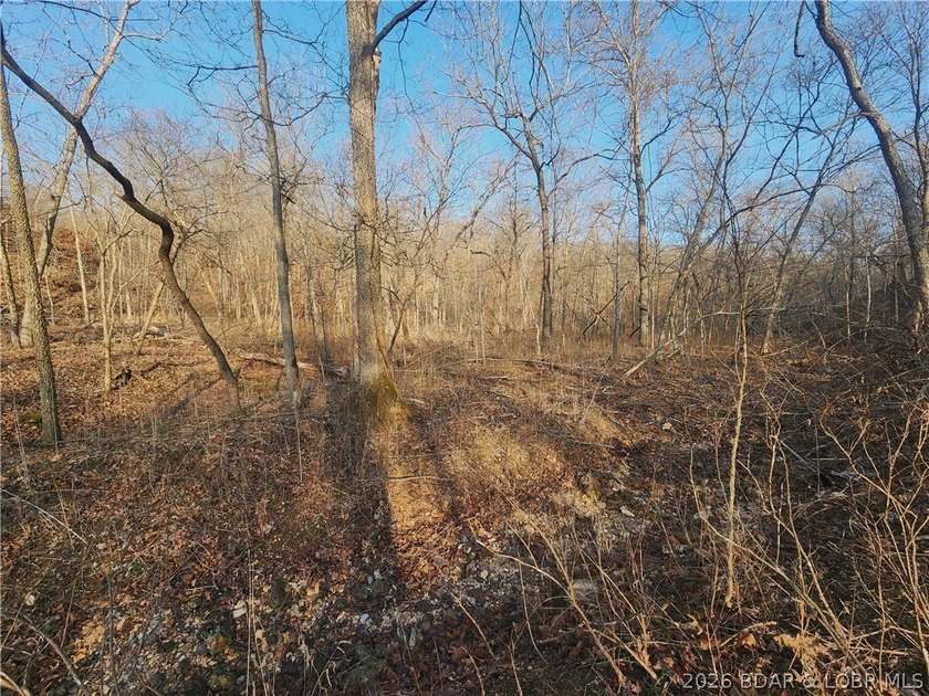 This scenic property features high ridges with incredible views - photo 3