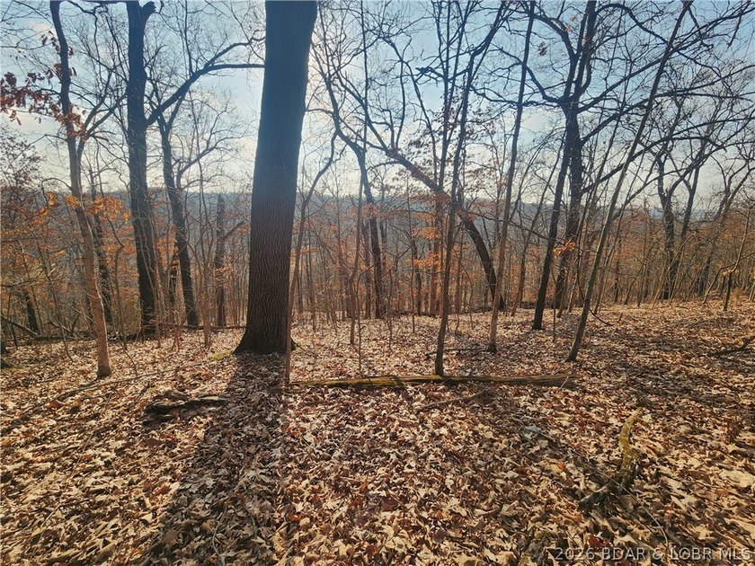 This scenic property features high ridges with incredible views - photo 8