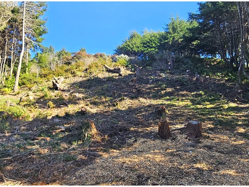 ATTENTION BUILDERS &amp; INVESTORS: The sellers are open to - photo 12