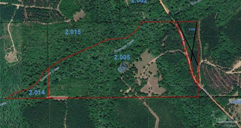 ATMORE, AL - *DEER PARADISE* | 62.72+/- ACRES | SIZEMORE CREEK - photo 8