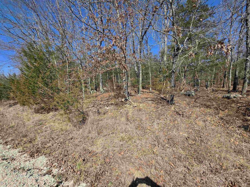 Wonderful Lake-view lot on beautiful Diamond Lake of Horseshoe - photo 13