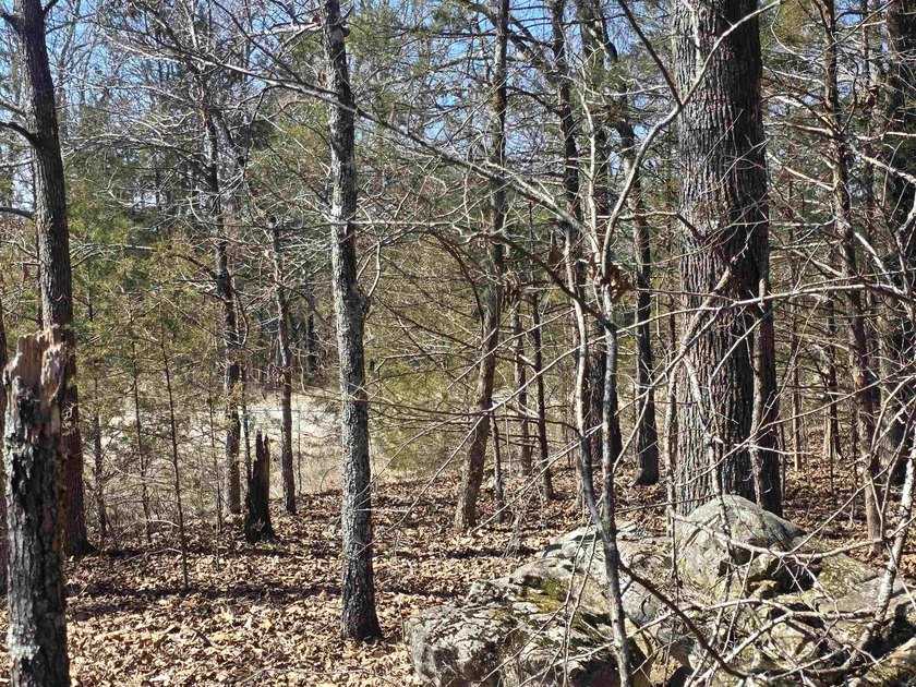 Wonderful Lake-view lot on beautiful Diamond Lake of Horseshoe - photo 17
