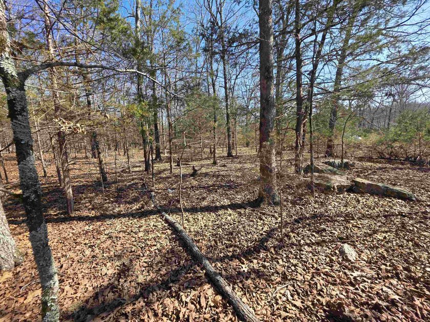 Wonderful Lake-view lot on beautiful Diamond Lake of Horseshoe - photo 21
