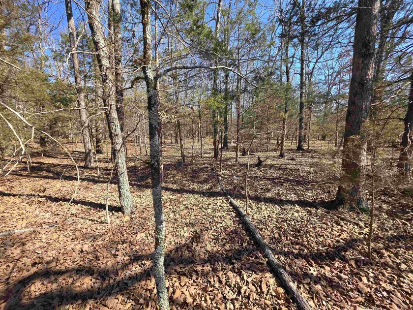 Wonderful Lake-view lot on beautiful Diamond Lake of Horseshoe - photo 22