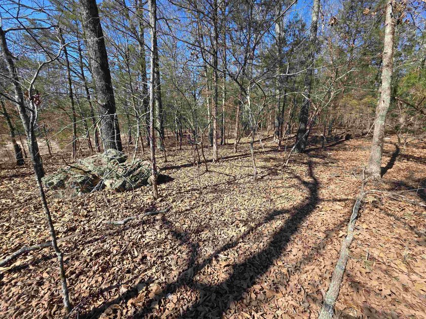 Wonderful Lake-view lot on beautiful Diamond Lake of Horseshoe - photo 23