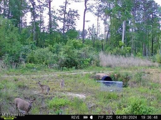 Located off Attala Road 3027 in Attala County, Mississippi, this - photo 11