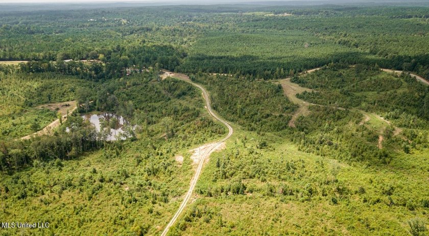 Located off Attala Road 3027 in Attala County, Mississippi, this - photo 13