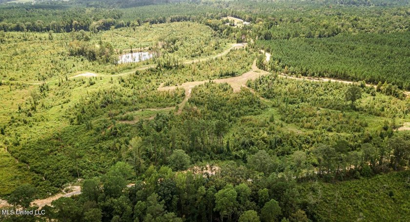 Located off Attala Road 3027 in Attala County, Mississippi, this - photo 14