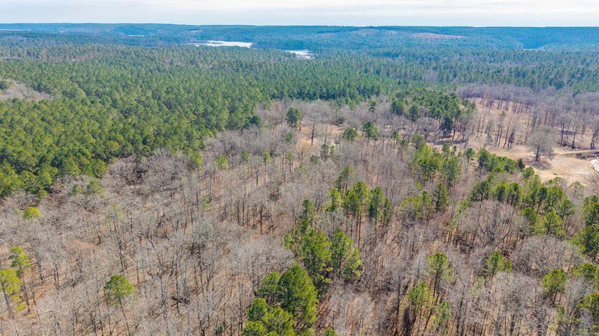 4.08+/- acres of wooded, level land located outside the city - photo 11