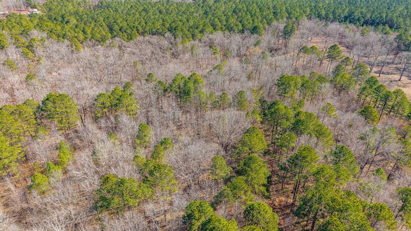 4.08+/- acres of wooded, level land located outside the city - photo 12