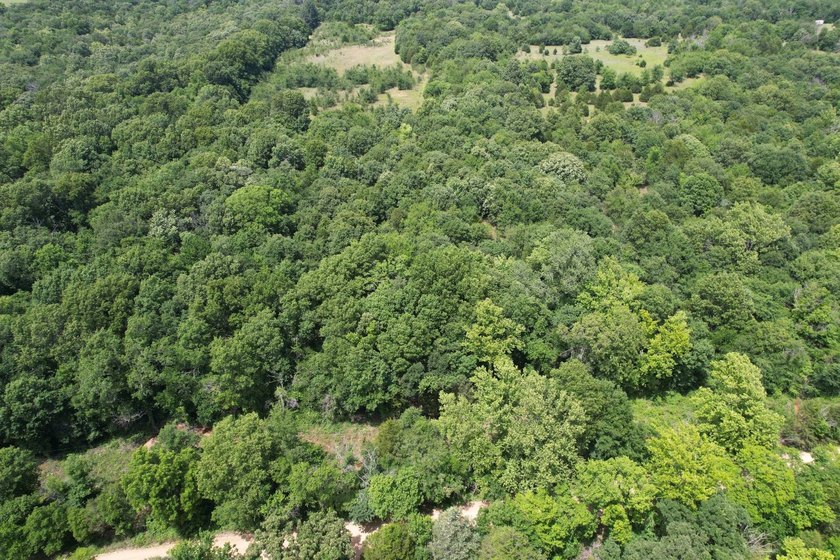 Discover the perfect blend of privacy, recreation, and future - photo 22