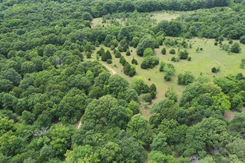 Discover the perfect blend of privacy, recreation, and future - photo 27