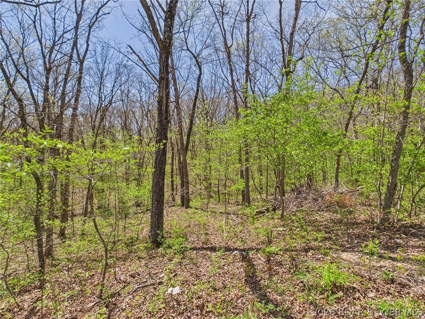 Trade the subdivision for the sound of silence at this 11+/- - photo 8