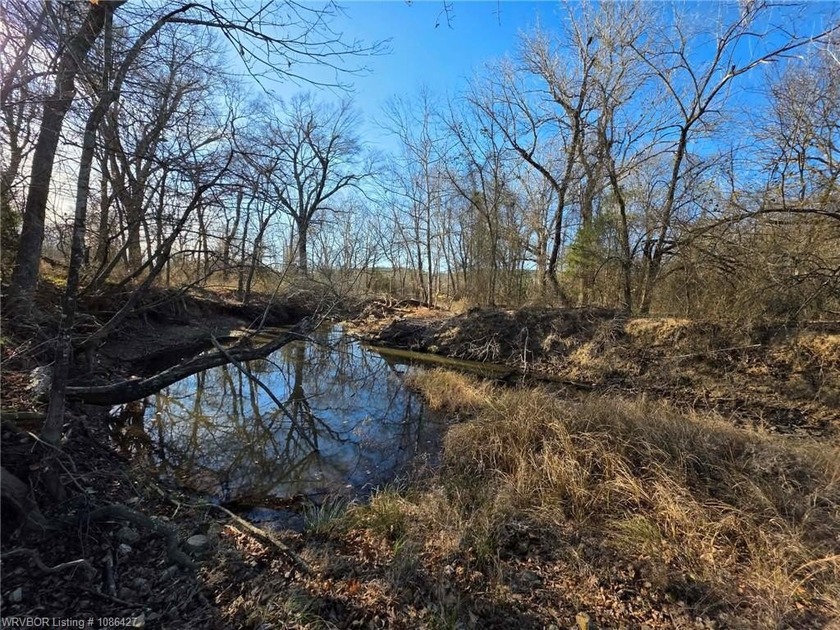 ** OWNER FINANCING AVAILABLE** This 11.5 acre Kiamichi Mountain - photo 8