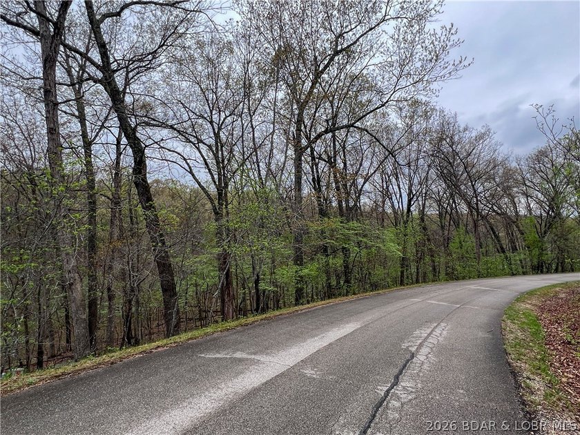 Build your custom home in the highly sought-after Porto Cima - photo 2