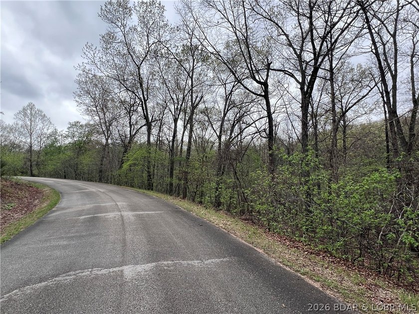 Build your custom home in the highly sought-after Porto Cima - photo 3